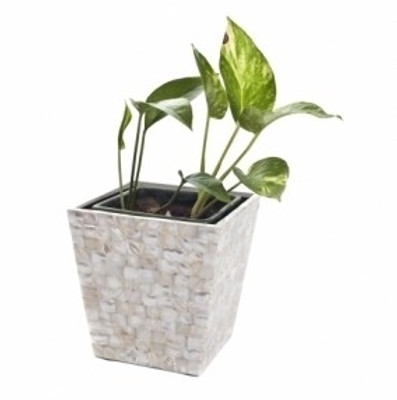 60% OFF on KKD White Mother of Pearl Wooden Dustbin White 60% OFF on KKD White Mother of Pearl Wooden Dustbin White