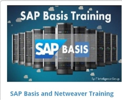 EasySkillz SAP Basis and Netweaver Training Online Course EasySkillz SAP Basis and Netweaver Training Online Course