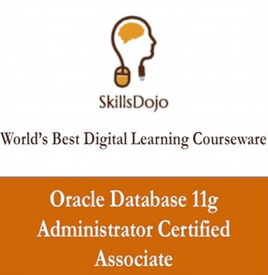 SkillsDojo Oracle Database 11g Administrator Certified Associate Certification Course SkillsDojo Oracle Database 11g Administrator Certified Associate Certification Course