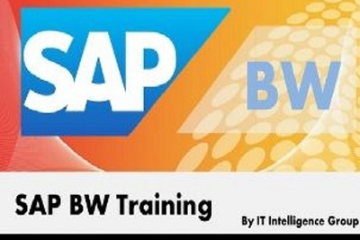 EasySkillz SAP BW Training by IT Intelligence Group Online Course EasySkillz SAP BW Training by IT Intelligence Group Online Course