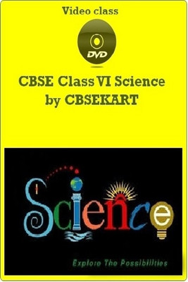 CBSEKart CBSE - Science (Class 6) CBSEKart CBSE - Science (Class 6)