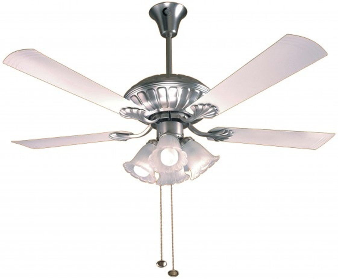 Ceiling Fan Sports 119