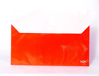 Chrome Folders Plastic Document File Bag