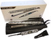 Corioliss C2 Platinum Zebra Hair Straightener