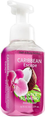 Bath & Body Works Caribbean Escape Gentle Foaming Hand Soap Bath & Body Works Caribbean Escape Gentle Foaming Hand Soap
