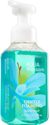 24% OFF on Bath & Body Works Aqua Blossom Gentle Foaming Hand Soap 24% OFF on Bath & Body Works Aqua Blossom Gentle Foaming Hand Soap
