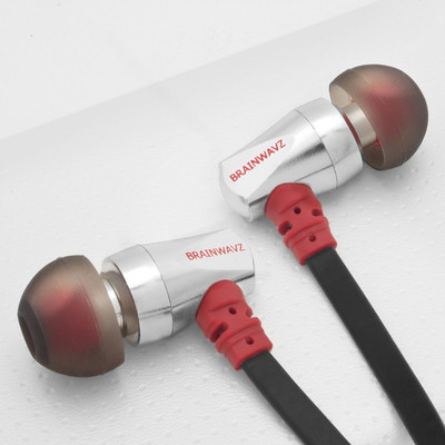 Brainwavz S3 Noise Isolating Earphones with Clearwavz Remote and Microphone Wired bluetooth Headphones (Silver, In the Ear) 