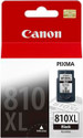 Canon PG 810XL Black Ink cartridge: Inks & Toners