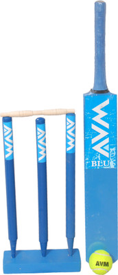 12% OFF on AVM Blu Cricket Kit