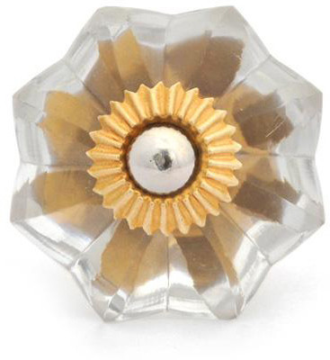 Neerja Glass Cabinet/Draw Knob Clear Pack of 6