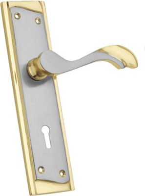 HomeProducts4u Gold Plated Door Pull