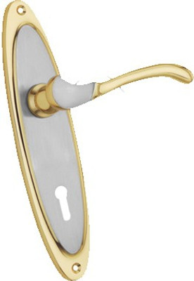 HomeProducts4u Gold Plated Door Pull