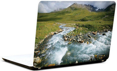 Pics And You Green And Gorgeous 13 3M/Avery Vinyl Laptop Decal (Laptops And MacBooks)