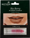Biotique Bio Berry Plumping Lip Balm Smoothes & Swells Lips Berry