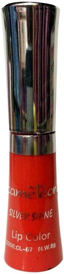 45% OFF on Cameleon Silver Shine 8 g 45% OFF on Cameleon Silver Shine 8 g