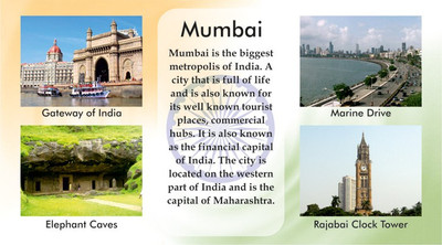 Everyday Gifts Indian Souvenir Fridge Magnet