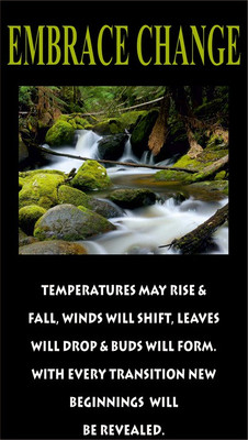 Everyday Gifts Success Fridge Magnet