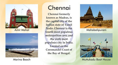 Everyday Gifts Indian Souvenir Fridge Magnet