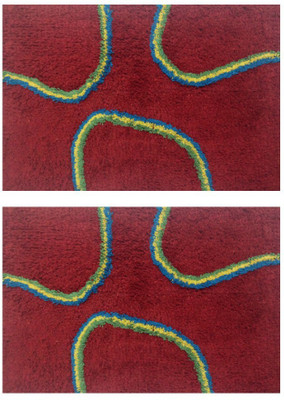 13% OFF on Prayag Cotton Medium Door Mat