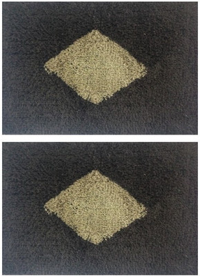 13% OFF on Prayag Cotton Medium Door Mat