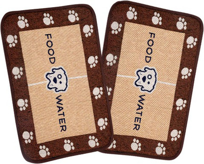 66% OFF on IWS Acrylic Small Door Mat