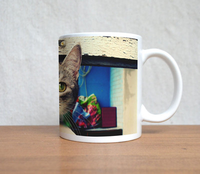 60% OFF on StyBuzz Cat On Window Ceramic Mug 300 ml