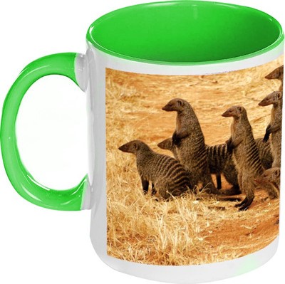 58% OFF on AMY Meerkat Inside Green Coffee Ceramic Mug 325 ml 58% OFF on AMY Meerkat Inside Green Coffee Ceramic Mug 325 ml
