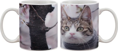 15% OFF on Artifa Cute Cat Porcelain, Ceramic Mug 350 ml 15% OFF on Artifa Cute Cat Porcelain, Ceramic Mug 350 ml