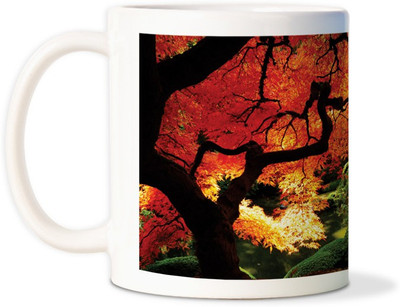 75% OFF on AMY Beautiful Scenery Forestcoffee Ceramic Mug 75% OFF on AMY Beautiful Scenery Forestcoffee Ceramic Mug