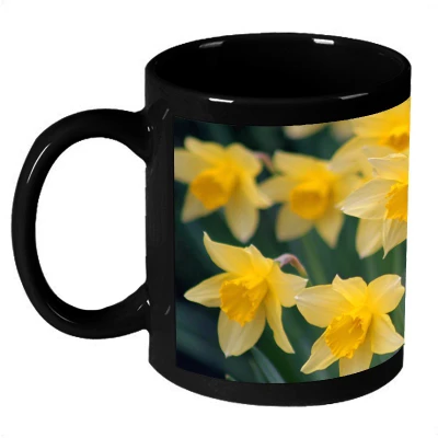 61% OFF on AMY Beautiful White Flower Daisy Ceramic Mug 325 ml 61% OFF on AMY Beautiful White Flower Daisy Ceramic Mug 325 ml