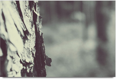 34% OFF on Abstrects 2 Paper Print 34% OFF on Abstrects 2 Paper Print