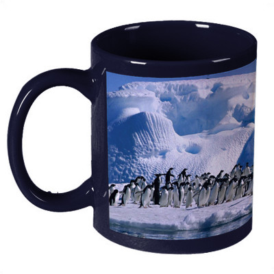 56% OFF on Amy Antartica Penguin Cute Little Ceramic Mug 330 ml 56% OFF on Amy Antartica Penguin Cute Little Ceramic Mug 330 ml