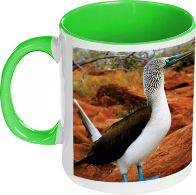 41% OFF on AMY Cute Little Animals Inside Green Coffee Ceramic Mug