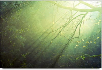 34% OFF on Abstrect 4 Paper Print 34% OFF on Abstrect 4 Paper Print