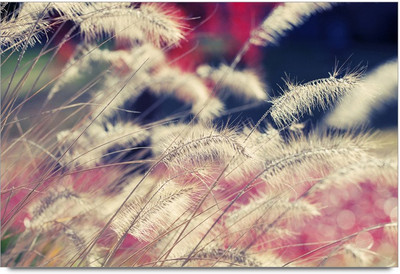 34% OFF on Abstrect 3 Paper Print