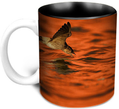 Hot Muggs Wild Focus - Supper Time Ceramic Mug 350 ml