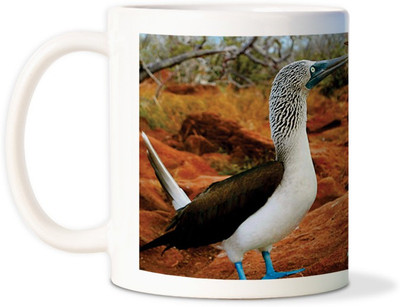 75% OFF on AMY Cute Little Animalscoffee Ceramic Mug 75% OFF on AMY Cute Little Animalscoffee Ceramic Mug