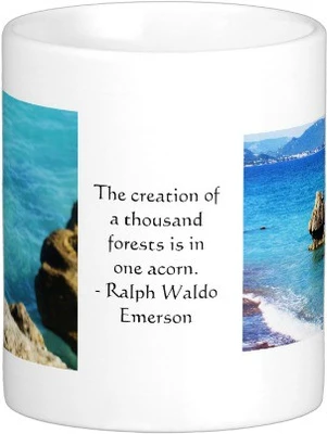 32% OFF on Exoctic Silver MUG216 Ceramic Mug 250 ml