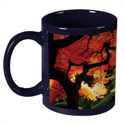56% OFF on Amy Beautiful Scenery Forest Dark Blue Ceramic Mug 330 ml 56% OFF on Amy Beautiful Scenery Forest Dark Blue Ceramic Mug 330 ml