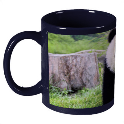 56% OFF on Amy Mammals Panda Cute Ceramic Mug 330 ml 56% OFF on Amy Mammals Panda Cute Ceramic Mug 330 ml