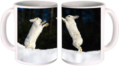 62% OFF on Shopkeeda Rabbit Ceramic Mug 350 ml