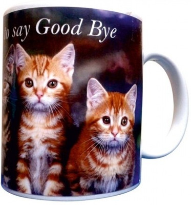 10% OFF on Everyday Gifts Pet Gift for Good Bye Ceramic Mug 400 ml 10% OFF on Everyday Gifts Pet Gift for Good Bye Ceramic Mug 400 ml