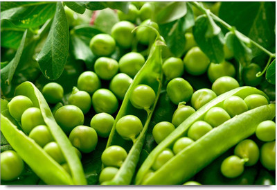 34% OFF on Green Peas Paper Print