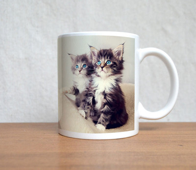 60% OFF on StyBuzz Funny Quote Ceramic Mug 300 ml