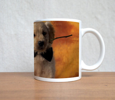 60% OFF on StyBuzz Puppy With A Rose Ceramic Mug 300 ml 60% OFF on StyBuzz Puppy With A Rose Ceramic Mug 300 ml