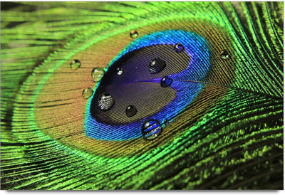 34% OFF on 3d Art Paper Print 34% OFF on 3d Art Paper Print