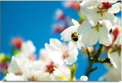 75% OFF on White Flawers Art 2 Paper Print 75% OFF on White Flawers Art 2 Paper Print