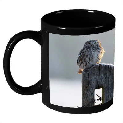 61% OFF on AMY Cut Red Snow Fox Sleeping Ceramic Mug 325 ml 61% OFF on AMY Cut Red Snow Fox Sleeping Ceramic Mug 325 ml