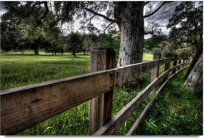 34% OFF on Green Art 2 Paper Print