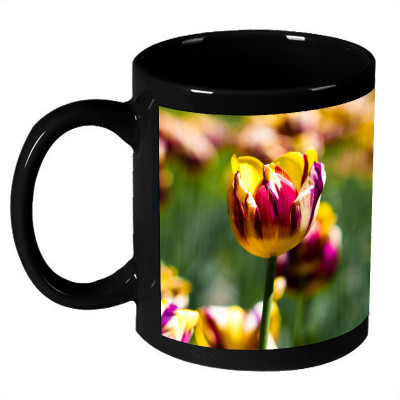 72% OFF on AMY Beautiful Purple And Yellow Tulip Ceramic Mug 325 ml